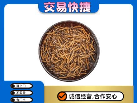 柳州鹿寨县礼品回收虫草.jpg